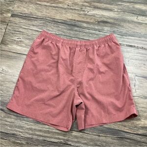 Chubbies Gym/Swim 5.5 inseam shorts